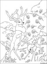 Bambi : the moose , bambi vs grasshoppers