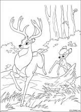 Bambi and his father run