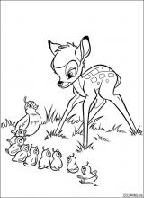 Bambi and pigeon