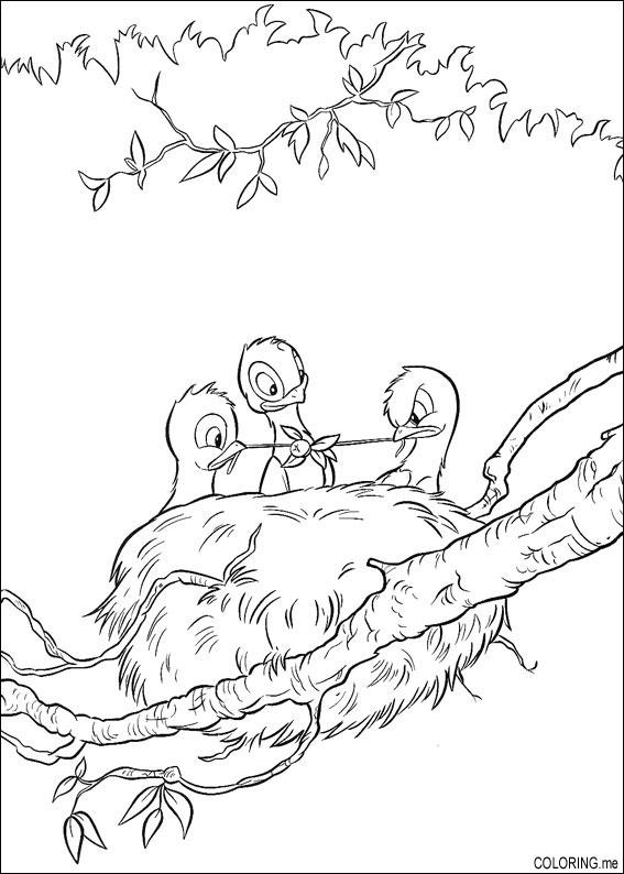 baby birds coloring pages - photo #35