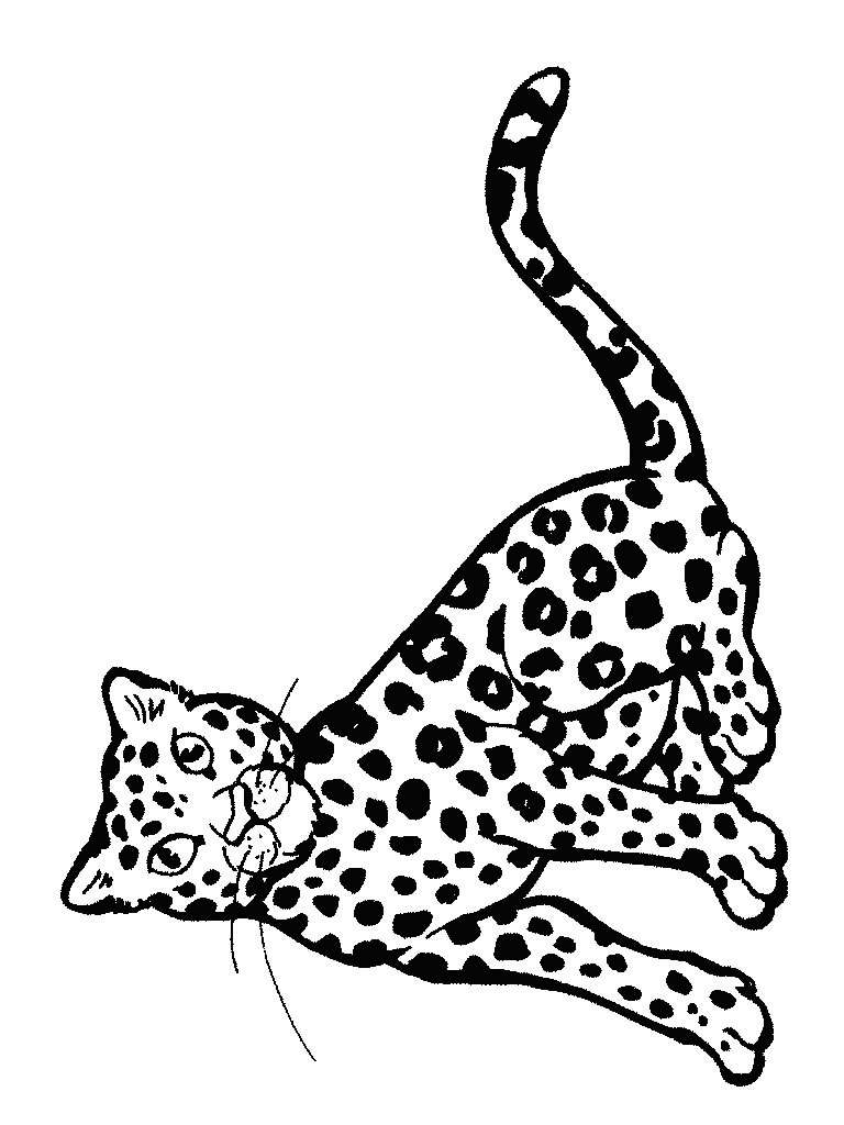Coloring page : Baby leopard - Coloring.me