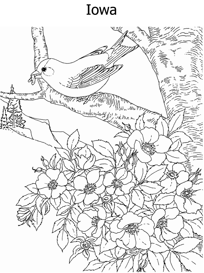 iowa coloring pages - photo #6
