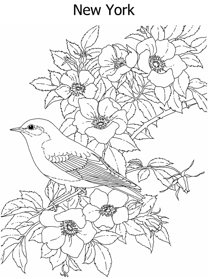 new york coloring pages - photo #31