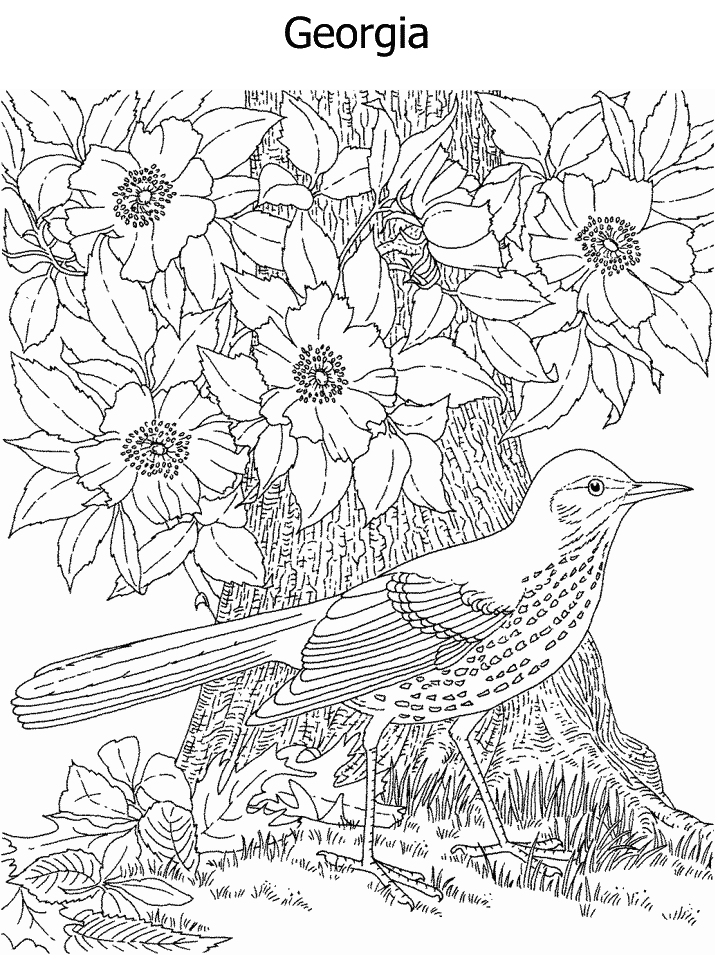 okeefe coloring pages - photo #33