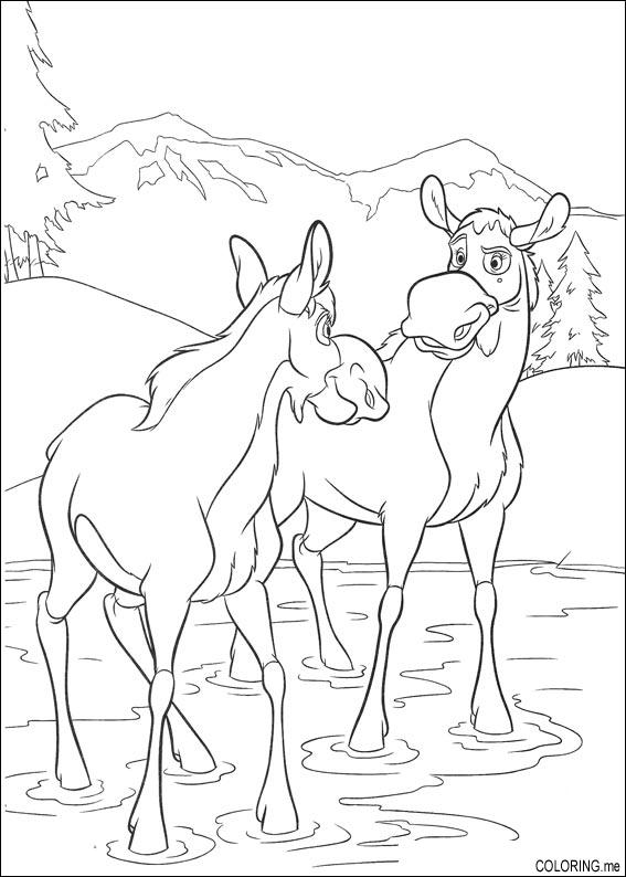 water horse coloring pages - photo #12