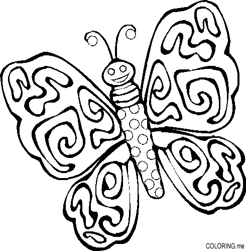 Butterfly Coloring Pages on 001979 Coloring Gif
