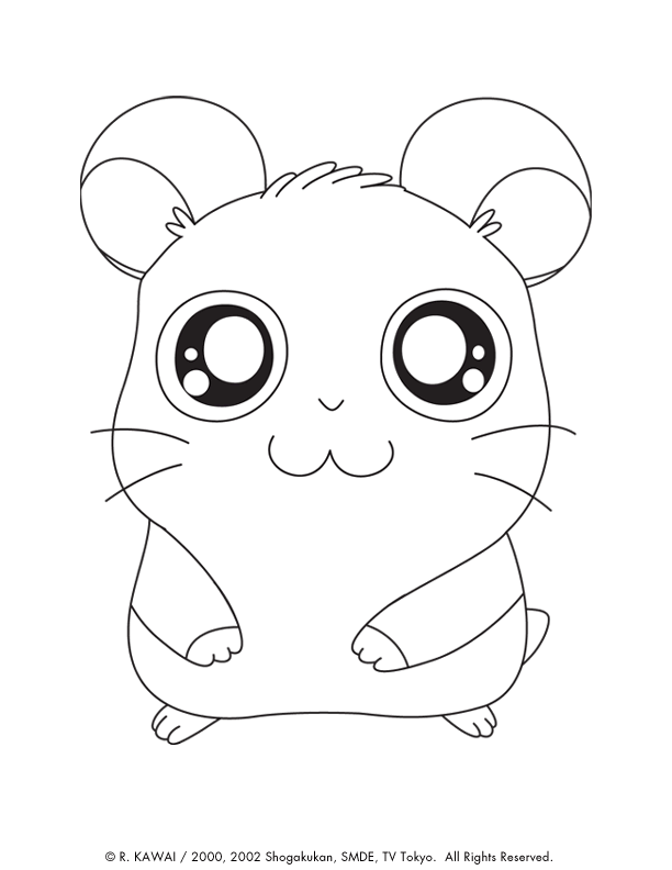 Coloring Hamtaro Panda Coloring Hamtaro Panda