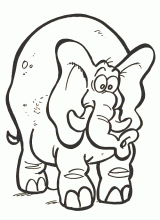 Elephant