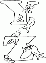 Alphabet birds y z