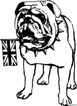 British bulldog