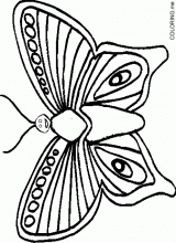 Butterfly 4