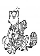 Chat laine