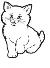 Chaton