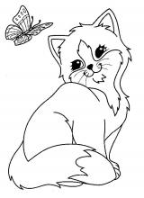 Chat papillon