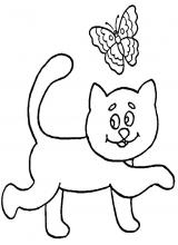 Chat papillon