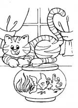 Chat poisson