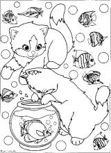 Chat poisson