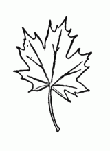 51 Nature coloring pages - Coloring.me