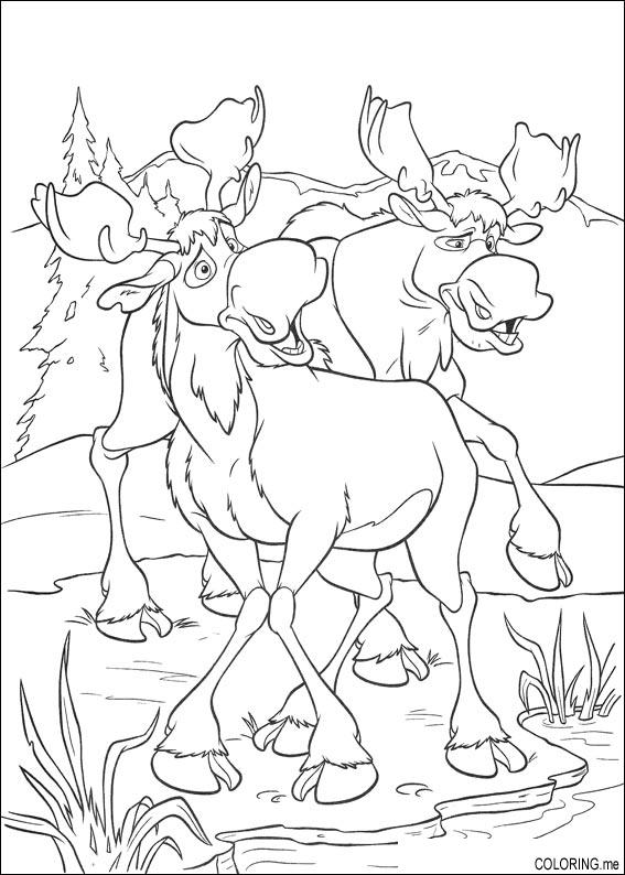 Coloring page : Brother bear moose near water - Coloring.me
