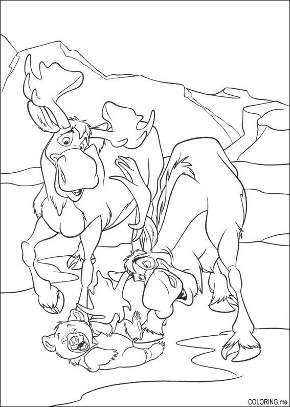 Awesome Brother Bear Moose Coloring Pages Images - New Coloring ... Awesome Brother Bear Moose Coloring Pages Images - New Coloring ...