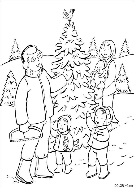 Coloring page : Christmas day choosing tree Coloring me Coloring page : Christmas day choosing tree Coloring me