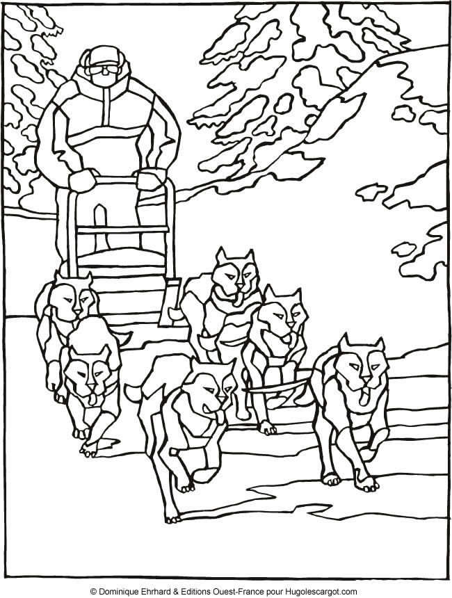 Coloring page  Chien traineau  Coloring.me